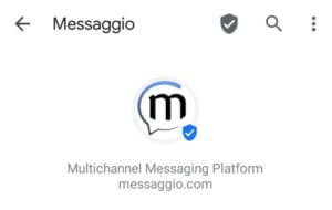 Многоканальная платформа обмена сообщениями Messaggio.com. Viber, WhatsApp, SMS & RCS бизнес-сообщения.