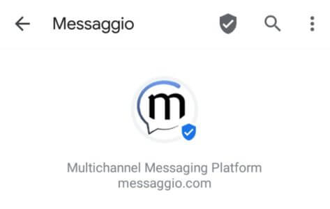 Messaggio.com Multichannel messaging platform. Viber, WhatsApp, SMS & RCS business messaging.